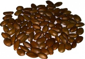 Les graines de graviola corossol